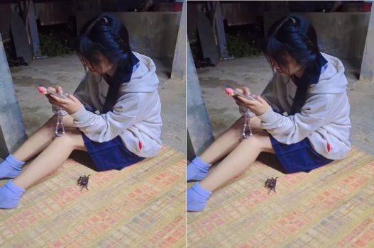 sex less vn Đưa người yêu về nhà chơi, thanh niên bị "mọc sừng" lúc nào không hay